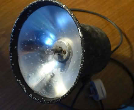 Photo of free 12V very bright spotlight with 13A mains plug (Hove Park area BN3) #1