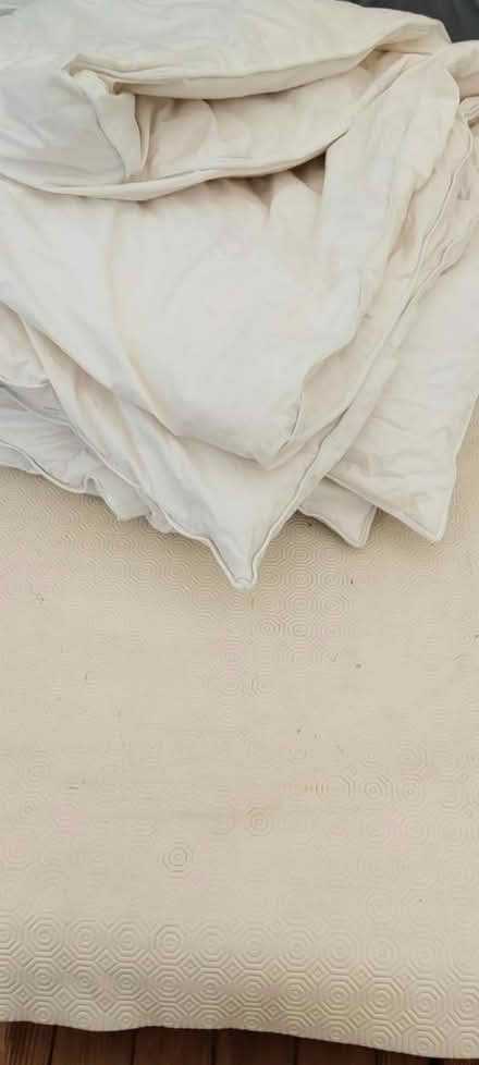 Photo of free 4,5 tog King duvet (Dublin 12) #1