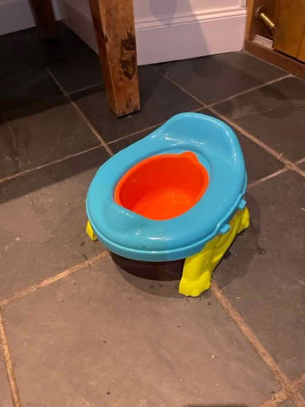 Photo of free Travel potty (Lochwinnoch) #1