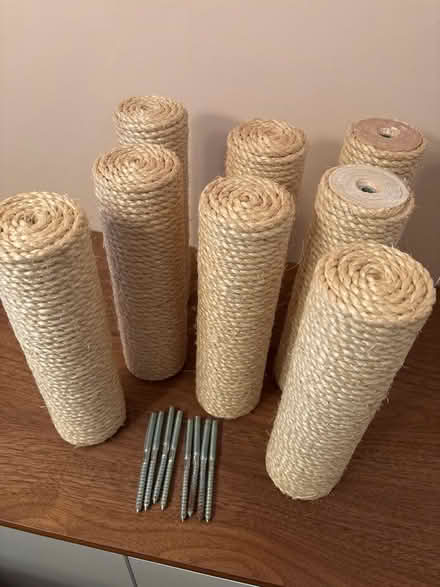 Photo of free Cat wall climbing (NW6 3LU) #2