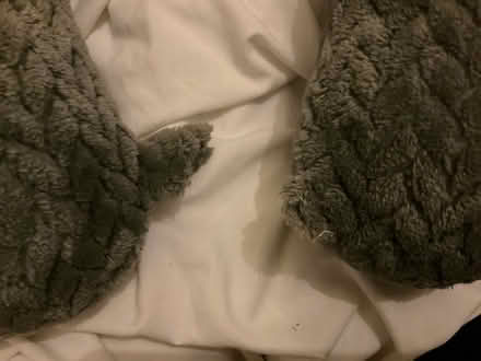 Photo of free Travel pillow (Brockley SE4) #2
