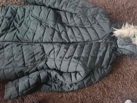 Photo of free Women's coat (Upper Norwood SE19) #1