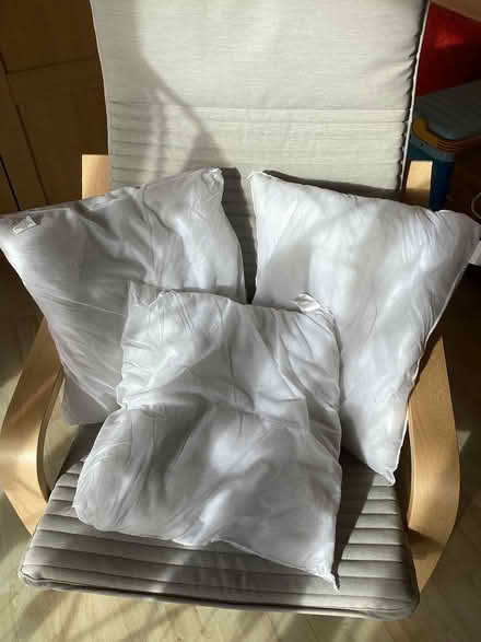 Photo of free Cushion pads (Orpington BR5) #1