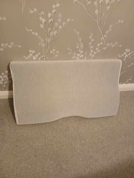 Photo of free Neck pillow (Great Baddow) #1