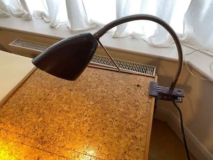 Photo of free adjustable gooseneck lamp with clamp, purple (Broadwater BN14) #1