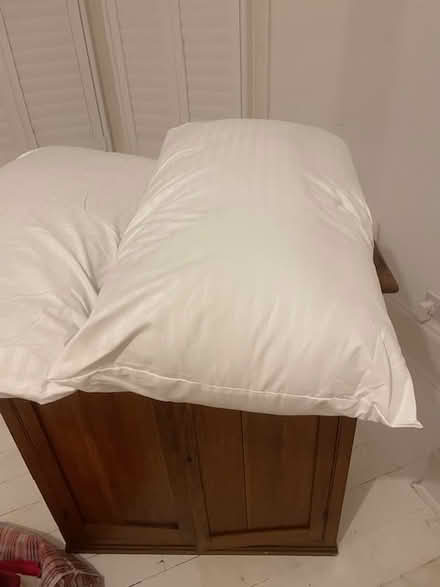 Photo of free 2 pillows, good condition (Haringey, near St Ann's, N15) #1