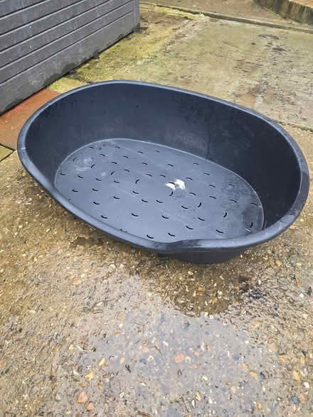 Photo of free Dog Bed (TN17) #1