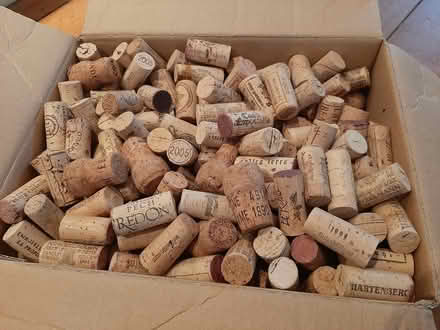Photo of free Box of wine corks (New Edinburgh) #1