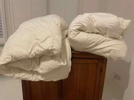Photo of free 2 Feather Duvets - double (Haringey, near St Ann's, N15) #2