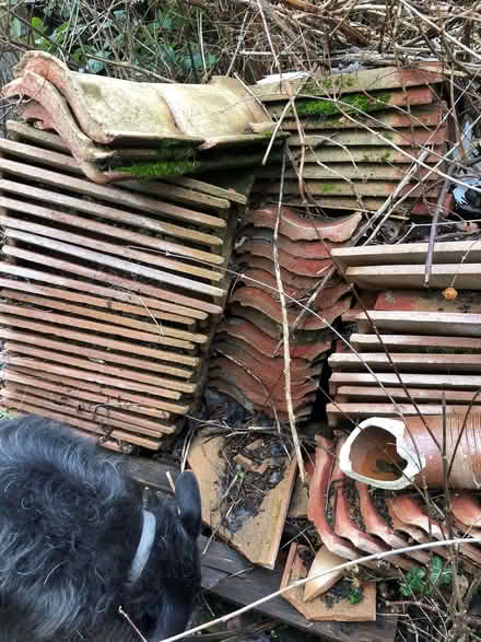 Photo of free Reusable Roof Tiles / Hardcore (CT3) #2