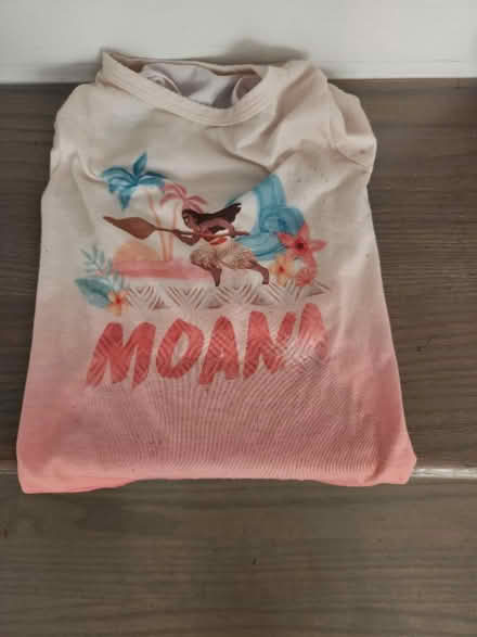 Photo of free Dog stuff- treats, out fits (20774) #4