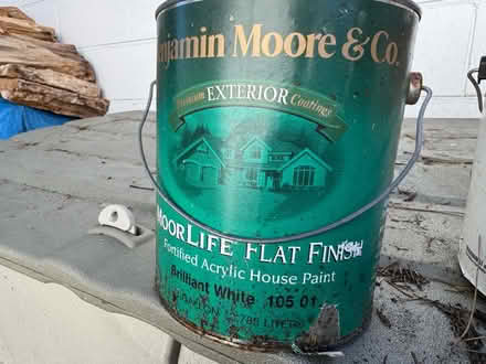 Photo of free Paint (Shoreline) #1