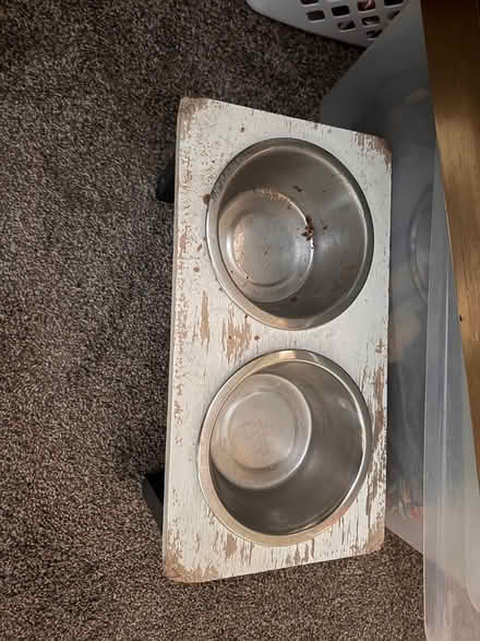 Photo of free Pet food/water bowl holder (Severn) #2
