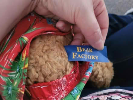 Photo of free Selection of toys (Charnock S12) #3