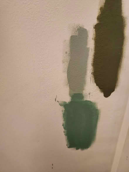 Photo of free Paint testers (CB25) #1