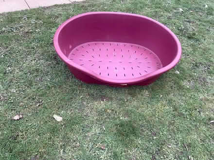 Photo of free Large Plastic Dog Basket (Sheringham NR26) #1