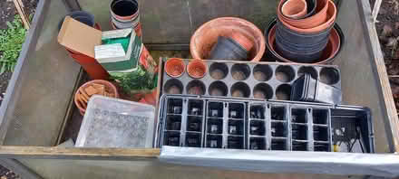 Photo of free Plant pots and trays (Cambridge) #2
