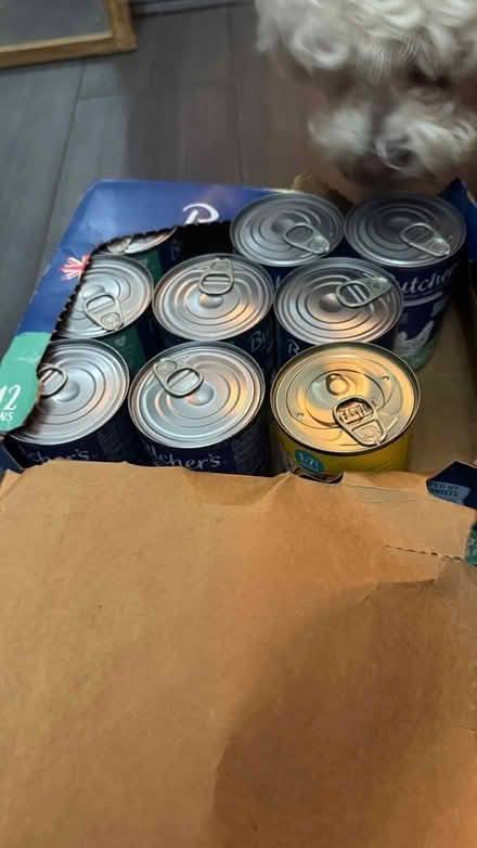Photo of free Dog food tins (Bexley DA1) #3