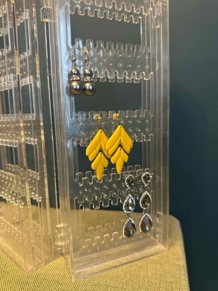 Photo of free Acrylic earring holder (Malden) #2
