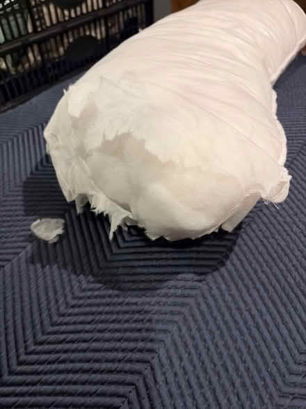 Photo of free Cushion padding / stuffing (Hitchin Herts) #2