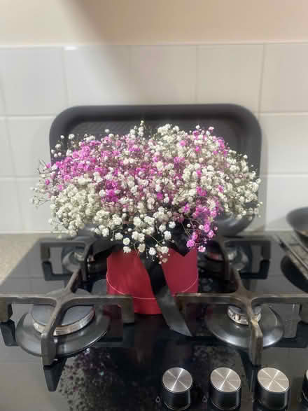 Photo of free Fresh flowers (Stoke Newington N16) #1