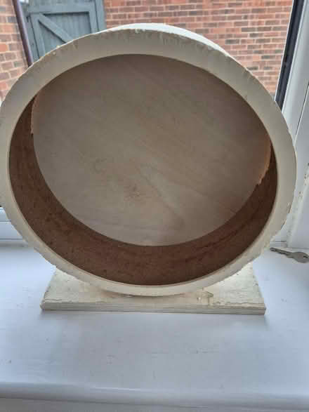 Photo of free Rodent exercise wheel (Tytherington SK10) #1
