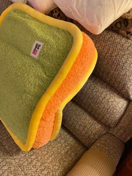 Photo of free Dog bed (Belper DE56) #3