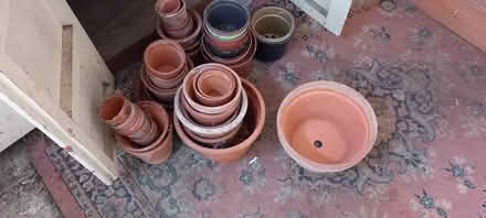 Photo of free Plant pots and trays (Cambridge) #1