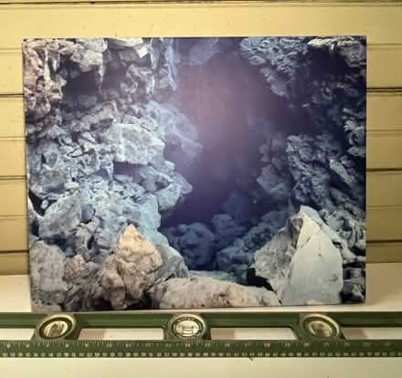 Photo of free Wall art :: Snorkling in Iceland (Nr Fresh Pond & Mt Auburn Cem.) #1