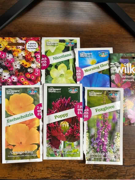 Photo of free Seven packets of flower seeds (Odd Down) #1
