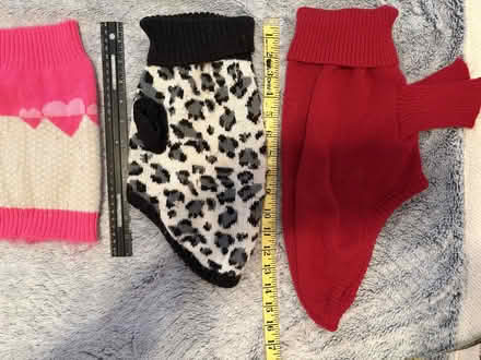 Photo of free Small Dog Sweaters (Rahway/Clark Line) #2