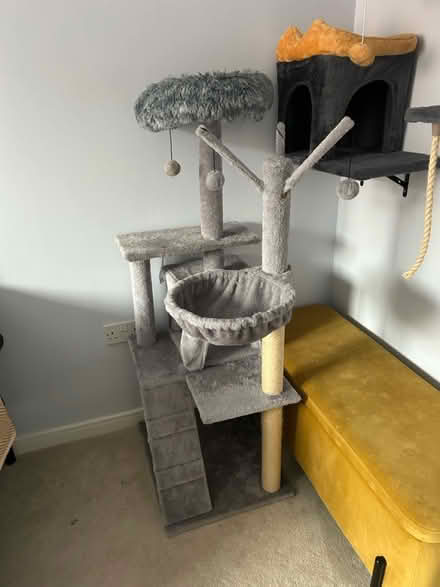 Photo of free Free standing Cat tree (Eccles M30) #1