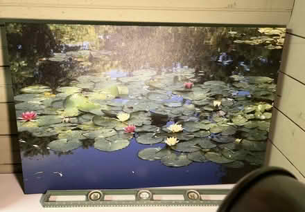 Photo of free Wall art :: Water Lilies (Nr Fresh Pond & Mt Auburn Cem.) #1