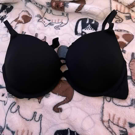 Photo of free women’s clothes (worcester) #4