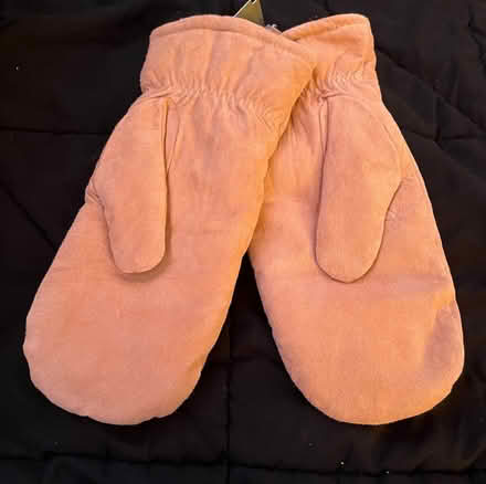 Photo of free women’s clothes (worcester) #3