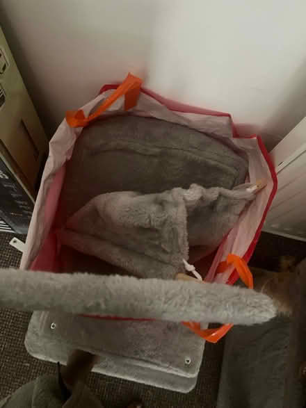 Photo of free Cat Tree - for DIY enthusiast (West Ealing) #3