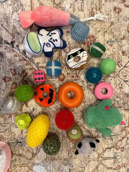 Photo of free Mixed, lightly used dog toys (West Menlo Park) #1