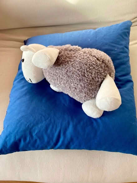 Photo of free Beanbag for pet (Brookfield PR2) #1