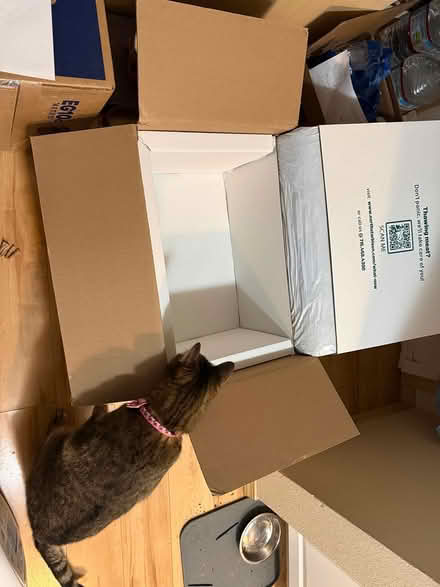 Photo of free Insulated box and small dry ice (Eastlake) #1