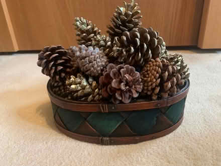 Photo of free Basket of pine cones (Hoddesdon, EN11) #1