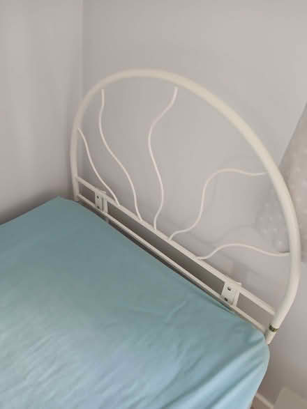 Photo of free Single Headboard (Wenslade Park EX5) #1