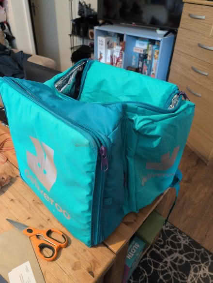 Photo of free Large insulated deliveroo bag (Bear flat) #1