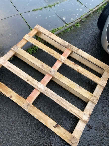 Photo of free Pallet (Perdiswell WR3) #1