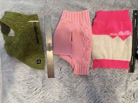 Photo of free Small Dog Sweaters (Rahway/Clark Line) #1