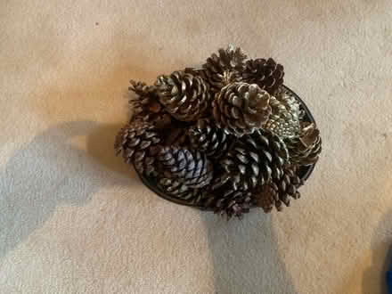 Photo of free Basket of pine cones (Hoddesdon, EN11) #2
