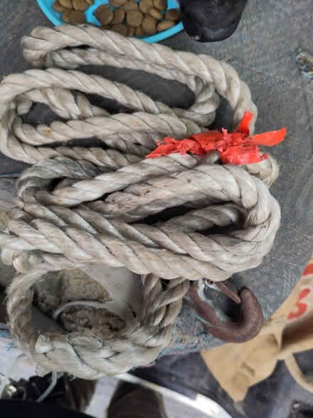 Photo of free Tow rope (Saint Leonards TN38) #1