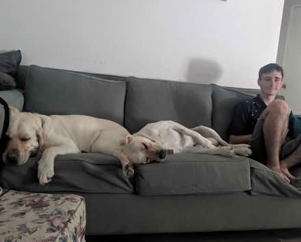 Photo of free couch and chair with Ottoman (East end of Ventura) #4