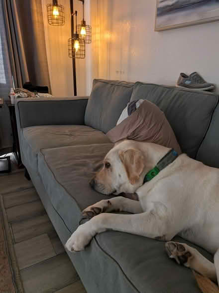 Photo of free couch and chair with Ottoman (East end of Ventura) #2