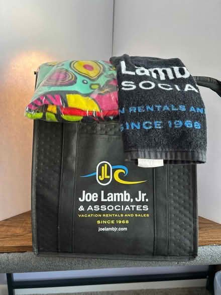 Photo of free Insulated bag, beach & hand towel (Owings Mills,MD) #1
