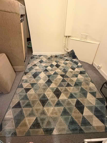 Photo of free Huge rug (Wood Green N22) #1